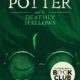 Harry Potter and the Deathly Hallows Epub