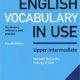 English Vocabulary In Use PDF