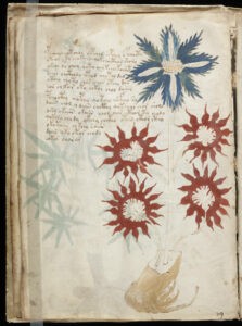 The Voynich Manuscript PDF